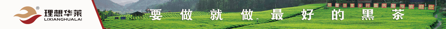 华莱广告