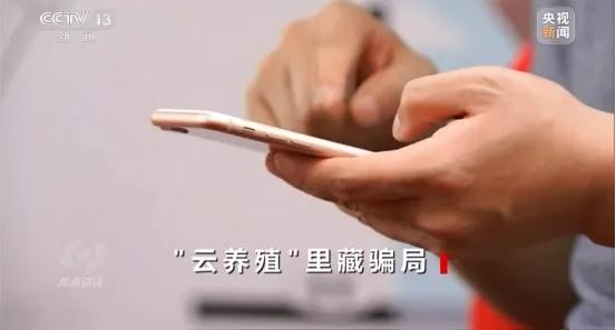 央视曝光：近百亿骗局，数十万人受害！警惕这5类新型传销陷阱